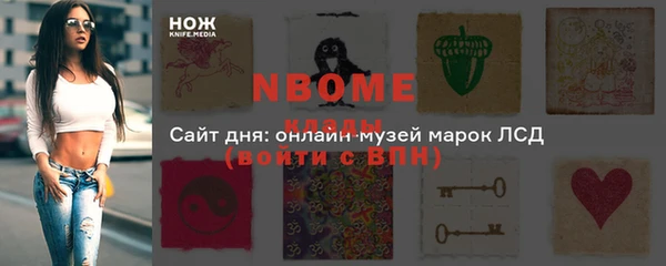 индика Заволжье
