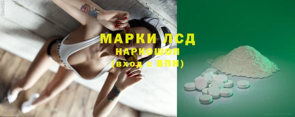 сатива Алзамай